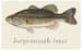largemouth.htm